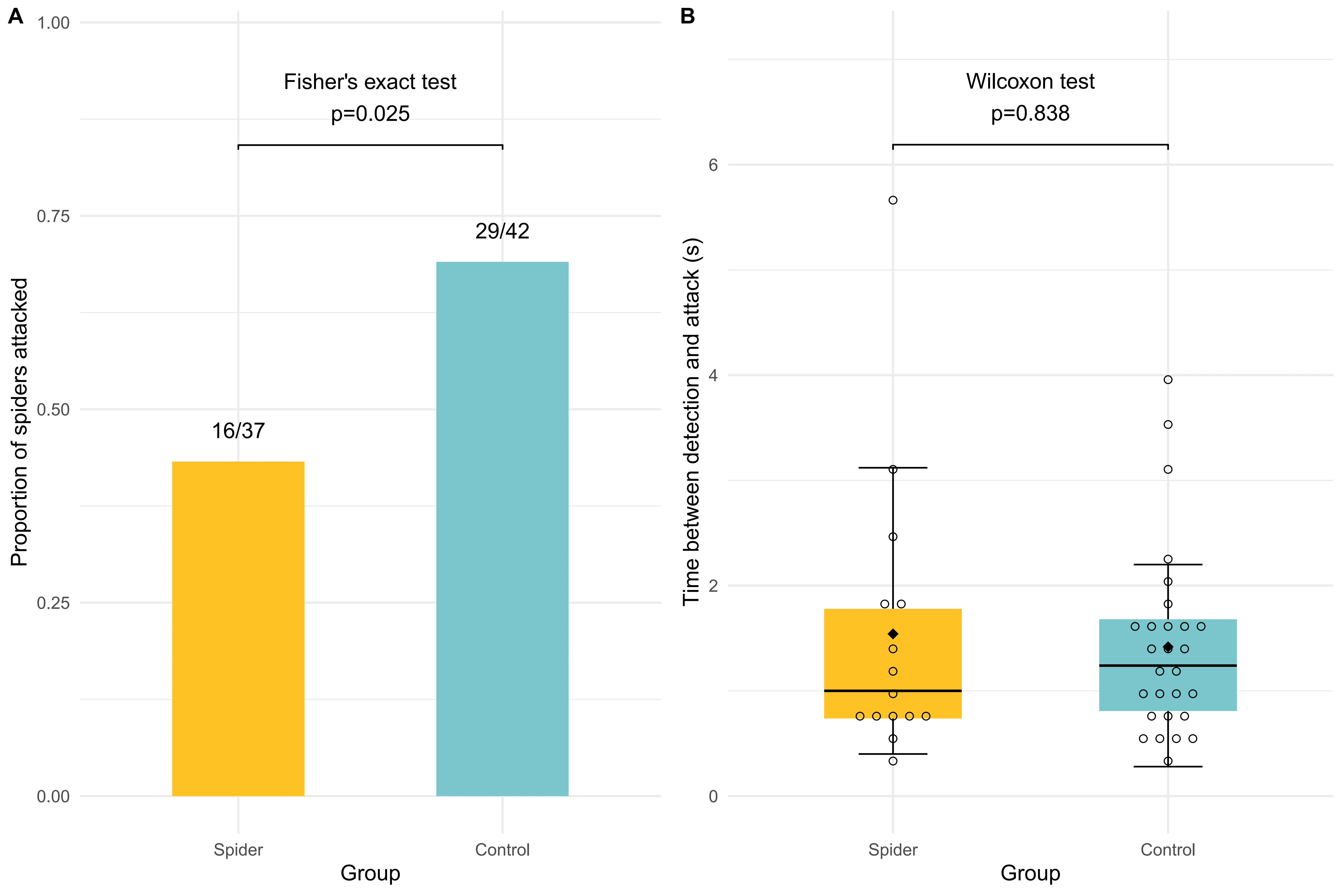 Results of the chick predation experiment. A. Proportion of the mimetic and non-mimetic spiders that were attacked by the chicks. B. Boxplots of hesitation time before pecking the mimetic and non-mimetic spiders.